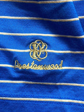 Load image into Gallery viewer, Peter Millar Shirt Adult Large Blue Beige Preppy Prestonwood Golf Polo Mens