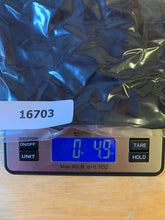 Load image into Gallery viewer, Scarlett Dakness Shirt Womens 2XL Black Sheer Lace Trim Renaissance Goth Nylon