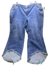 Load image into Gallery viewer, Alivia Ford Jeans Womens 24W Whiskered Rayon Spandex Fringe Hem Asymmetric Plus