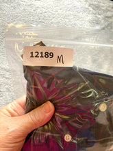 Load image into Gallery viewer, Nautica Shirt Adult 2XLT XXL Tall Button Up Long Sleeve Windowpane Plaid Mens