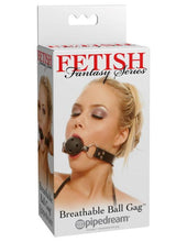 Load image into Gallery viewer, Fetish Fantasy Series Breathable Ball Gag with Adjustable Strap
