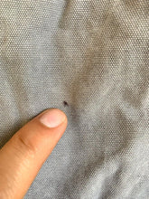 Load image into Gallery viewer, Carhartt Pants Adult 42x30 Gray Relaxed Fit Cargo Outdoor Workwear Ripstop Mens