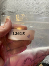 Load image into Gallery viewer, VTG Nike Shirt Adult Extra Large Cycle Oregon Hells Canyon Bicycle Cycling Mens