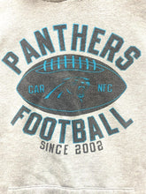 Load image into Gallery viewer, Carolina Panthers Sweatshirt Adult 2XL Gray NFL Football Hoodie Sportswear Mens