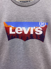 Load image into Gallery viewer, Levi’s Shirt Adult 2XL Gray Streetwear Pullover Spell Out Logo Strauss Mens