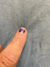 Load image into Gallery viewer, Ocean Pacific Shirt Adult Extra Large Slate Blue Manhattan Beach Surfing OP Mens