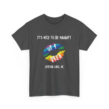 Load image into Gallery viewer, It's Nice to be Naughty Up4Drea Pride T-Shirt, Pride Month Shirts, Gay Lesbian Pride Tee, Gay Gift, LGBTQ Shirt, North Carolina Shirt