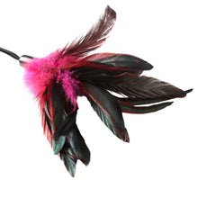 Load image into Gallery viewer, PREMIUM PLEASURE FEATHER