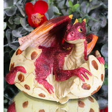 Load image into Gallery viewer, Dragon hatchling decor
