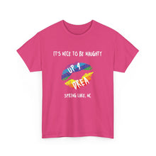 Load image into Gallery viewer, It&#39;s Nice to be Naughty Up4Drea Pride T-Shirt, Pride Month Shirts, Gay Lesbian Pride Tee, Gay Gift, LGBTQ Shirt, North Carolina Shirt
