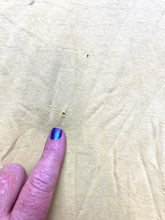 Load image into Gallery viewer, VTG Ron Jon Surf Shop Shirt Adult Extra Large Yellow Cozumel Parrot Beach Mens
