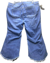 Load image into Gallery viewer, Alivia Ford Jeans Womens 24W Whiskered Rayon Spandex Fringe Hem Asymmetric Plus

