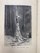 Load image into Gallery viewer, 1885 The Castaways Hardcover Book Tale of Adventure Wilds of Borneo
