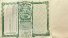 Load image into Gallery viewer, C. 1910 Nampa Automobile Company $100 Stock Certificate Shares Eagle Collectible
