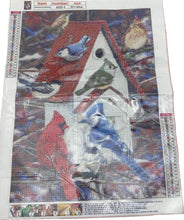 Load image into Gallery viewer, Bird Diamond Art Painting Kit Cardinal, Blue Jay, 30x40 cm NEW

