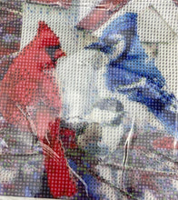 Load image into Gallery viewer, Bird Diamond Art Painting Kit Cardinal, Blue Jay, 30x40 cm NEW
