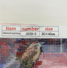 Load image into Gallery viewer, Bird Diamond Art Painting Kit Cardinal, Blue Jay, 30x40 cm NEW

