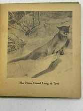 Load image into Gallery viewer, 1935 Sequoia Big Little Book Hardcover Illustrated Whitman Publishing Co
