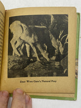 Load image into Gallery viewer, 1935 Sequoia Big Little Book Hardcover Illustrated Whitman Publishing Co
