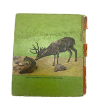 Load image into Gallery viewer, 1935 Sequoia Big Little Book Hardcover Illustrated Whitman Publishing Co
