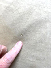 Load image into Gallery viewer, Sean John Shirt Adult 2XL XXL Khaki Navy Eagle Iron Shield AFFLICTION STYLE Mens
