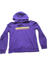 Load image into Gallery viewer, Camp David Sweatshirt Womens Extra Large Purple Biltmore Asheville Hoodie Ladies

