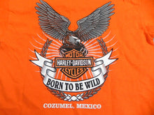 Load image into Gallery viewer, Harley Davidson Shirt Women Small Orange Born To be Wild Eagle Motorcycles Biker
