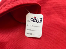 Load image into Gallery viewer, Norway Jersey Adult Medium Nord Souvenir Flag Sports Soccer Futball Mens
