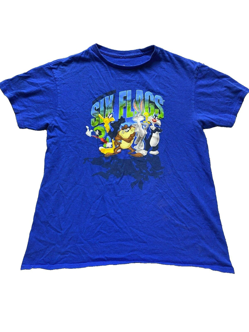Looney Tunes Shirt Adult Medium Blue Six Flags Discovery Kingdom Taz Tweety Mens