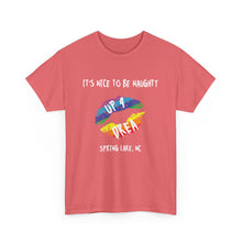 Load image into Gallery viewer, It&#39;s Nice to be Naughty Up4Drea Pride T-Shirt, Pride Month Shirts, Gay Lesbian Pride Tee, Gay Gift, LGBTQ Shirt, North Carolina Shirt

