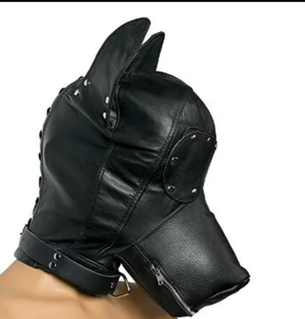 Dog Hood