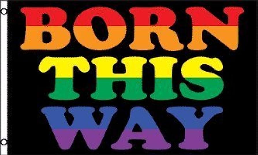 Born This Way Pride Full-size Flag